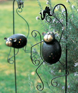 Large picture of Monkey lanterns